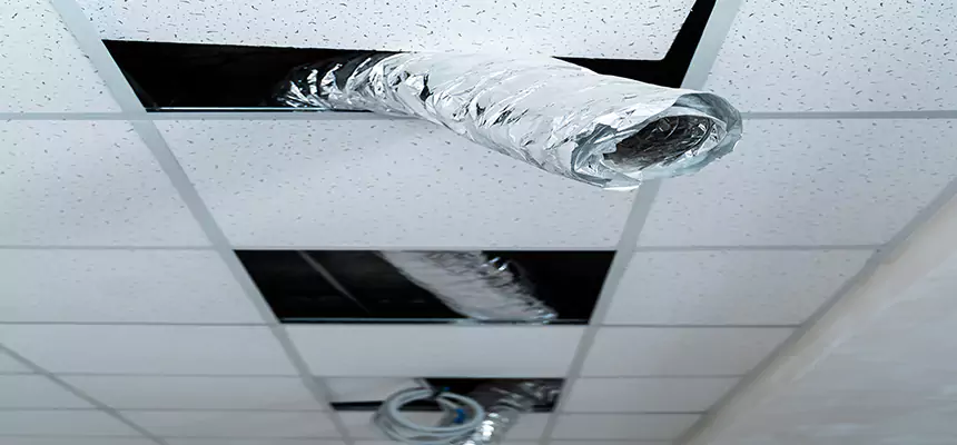 Our Air Duct Pet Hair Removal Services in Middletown, CT