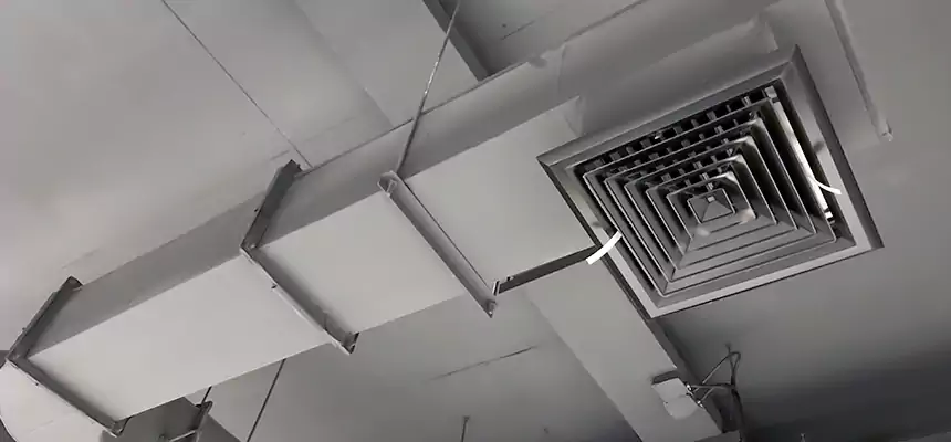 Our Pest Removal From Ducts Services in Middletown, CT