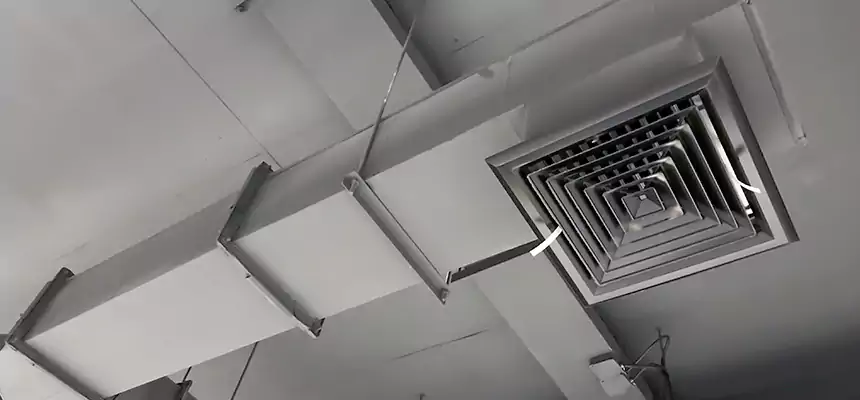 Our Rodent Droppings In Vents Services in Middletown, CT