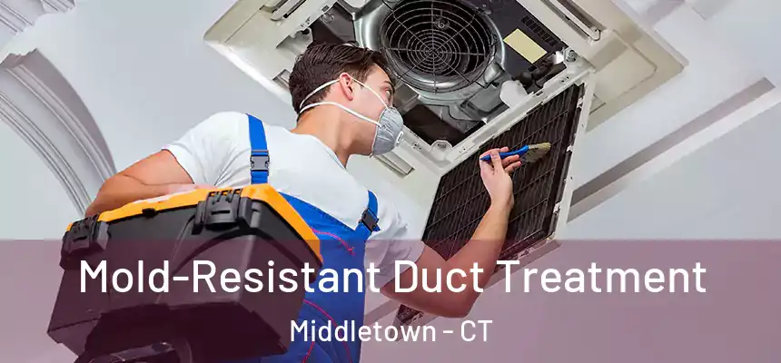  Mold-Resistant Duct Treatment Middletown - CT