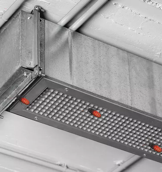 About Air Duct Cockroach Removal in Middletown, CT
