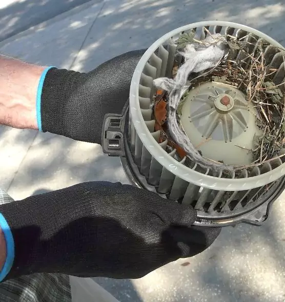 About Air Duct Rat Removal in Middletown, CT