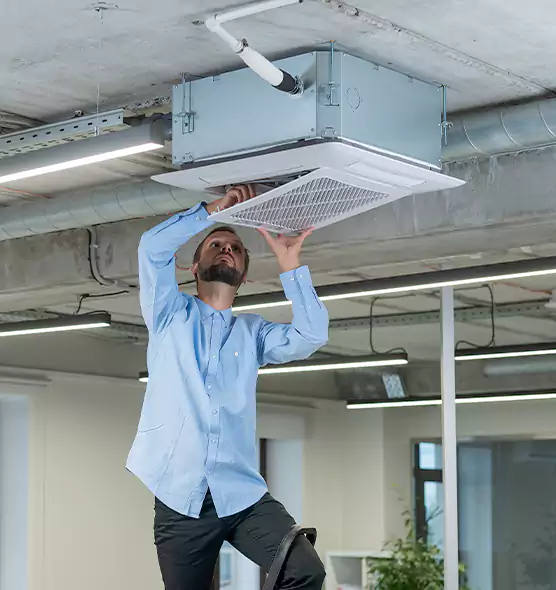 Advanced Rodent Droppings In Vents in Middletown, CT