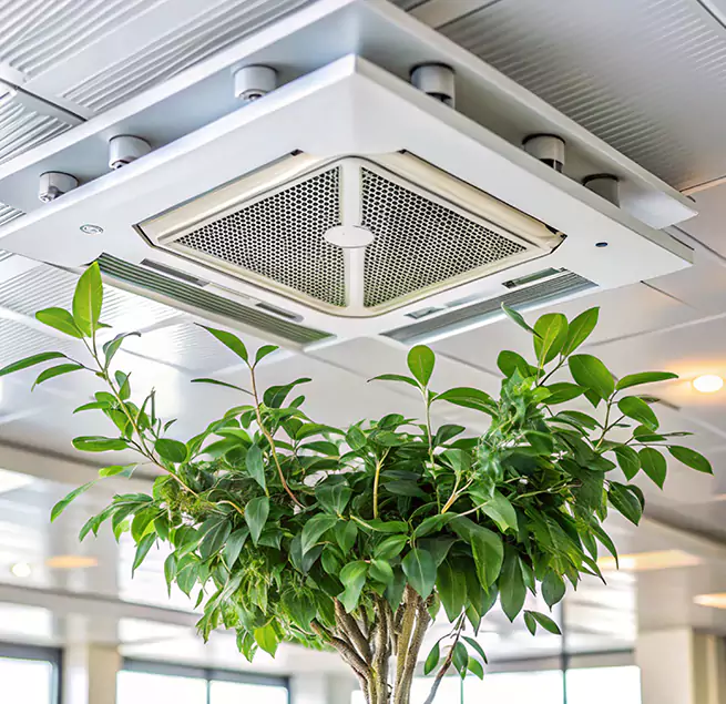 Why Homeowners & Businesses Trust Us in Middletown, CT?